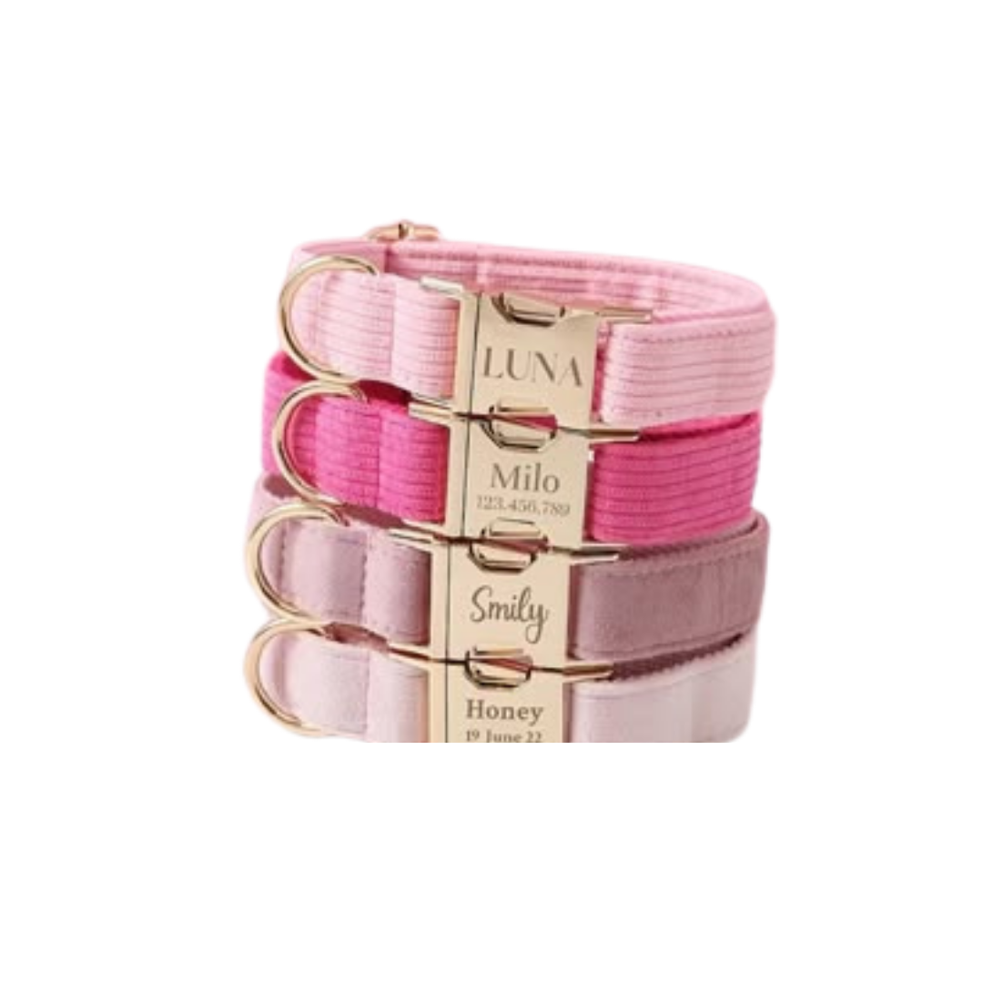 CUSTOMIZED PET SUPPLIES