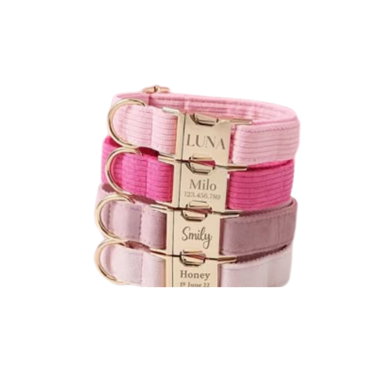CUSTOMIZED PET SUPPLIES