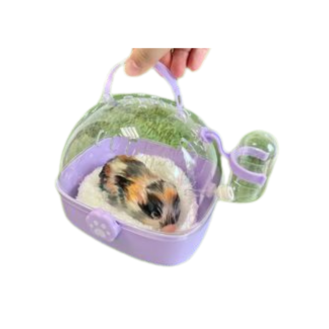 SMALL ANIMAL SUPPLIES