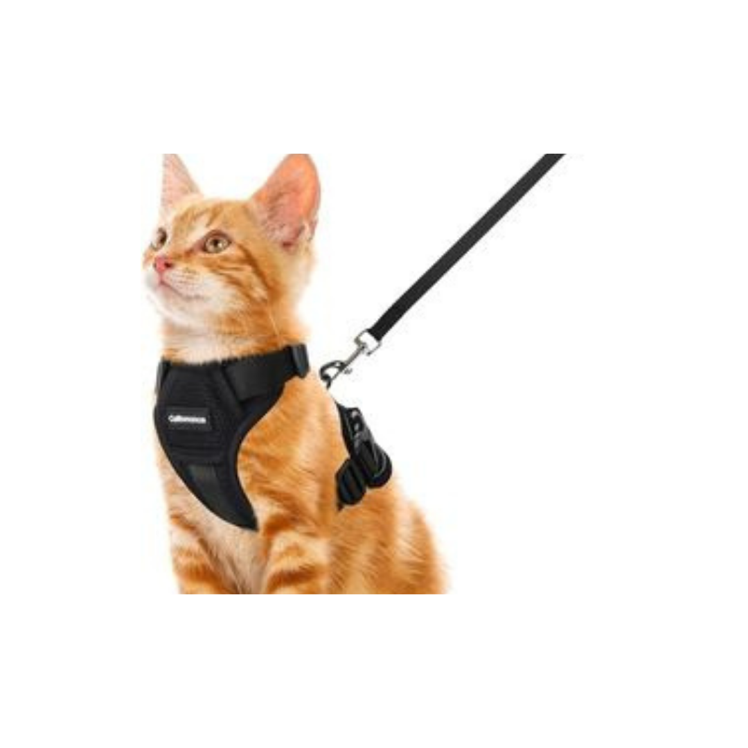 PET COLLAR AND LEASHES