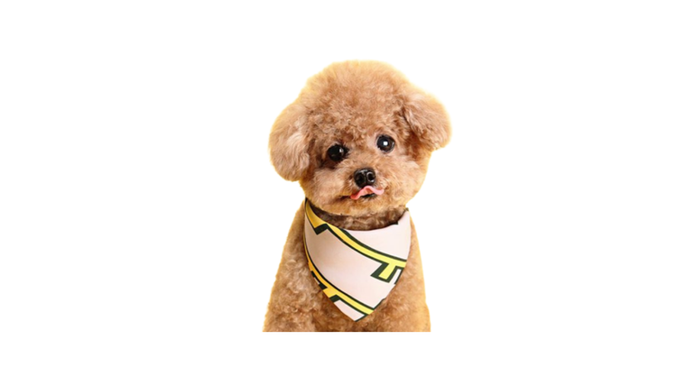 PET SUPPLIES