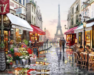 Digital Oil Painting DIY Floral Street Art Kit