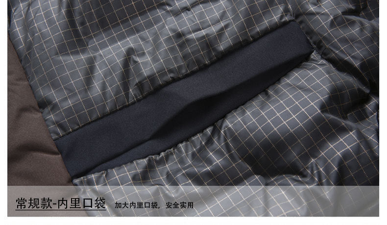 2024 winter new silk cotton-padded jacket casual men's business middle-aged cotton-padded hooded thick warm coat wholesale