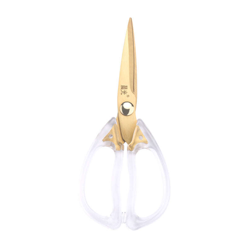 Chengguang household scissors kitchen ins style acrylic scissors simple transparent scissors stainless steel baby food supplement scissors