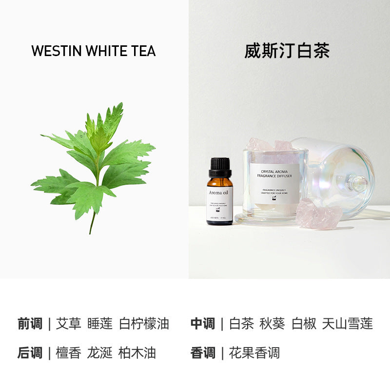 Aromatherapy Crystal Diffuser Gift Set for Home Bedroom Fragrance Perfume, Best Friend Birthday Gift, Souvenir