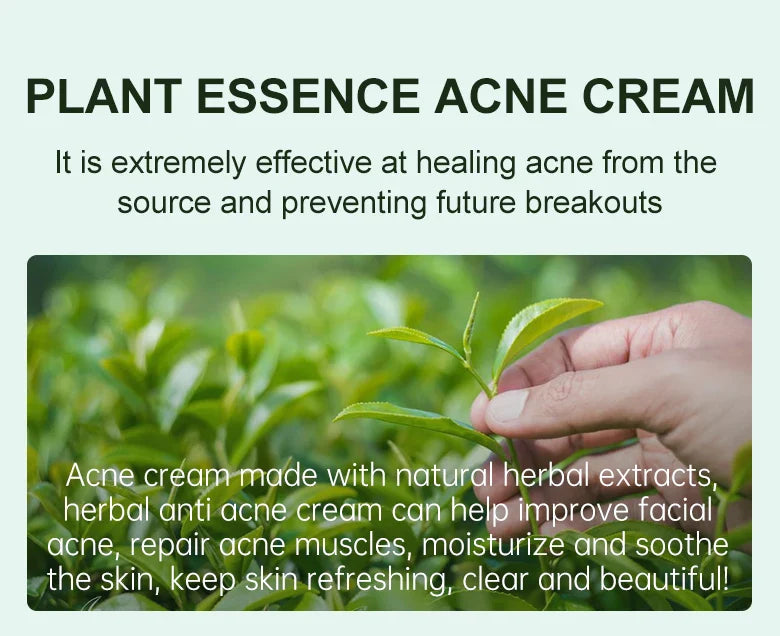 Clear Face Daily Herbal Pore Cream