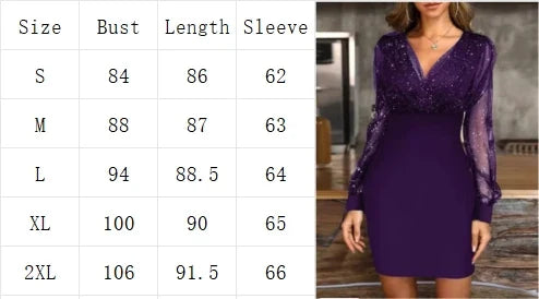 Sexy V-Neck See Through Long Sleeve Dress Women Spring Autumn Party Mini Dresses