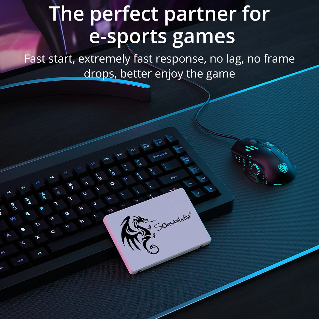 SomnAmbulist SSD 2.5 64GB 128GB 256GB 512GB for Laptop Desktop Solid State Drive Sata3 120GB 240GB 480GB